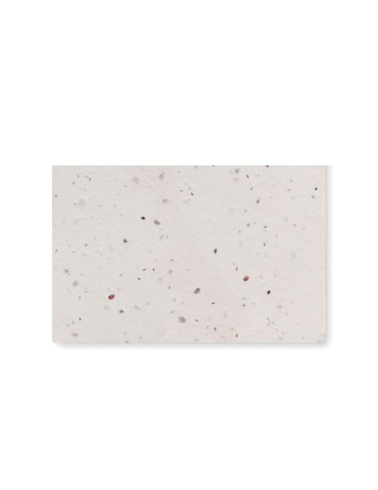 ASIDA Carte de visite pour les graine Couleurs : blanc