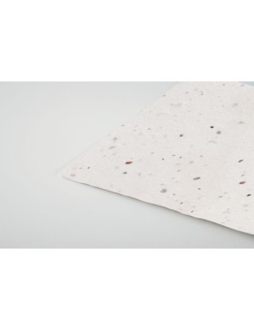 ASIDA Carte de visite pour les graine Couleurs : blanc cadeau entreprise pas cher