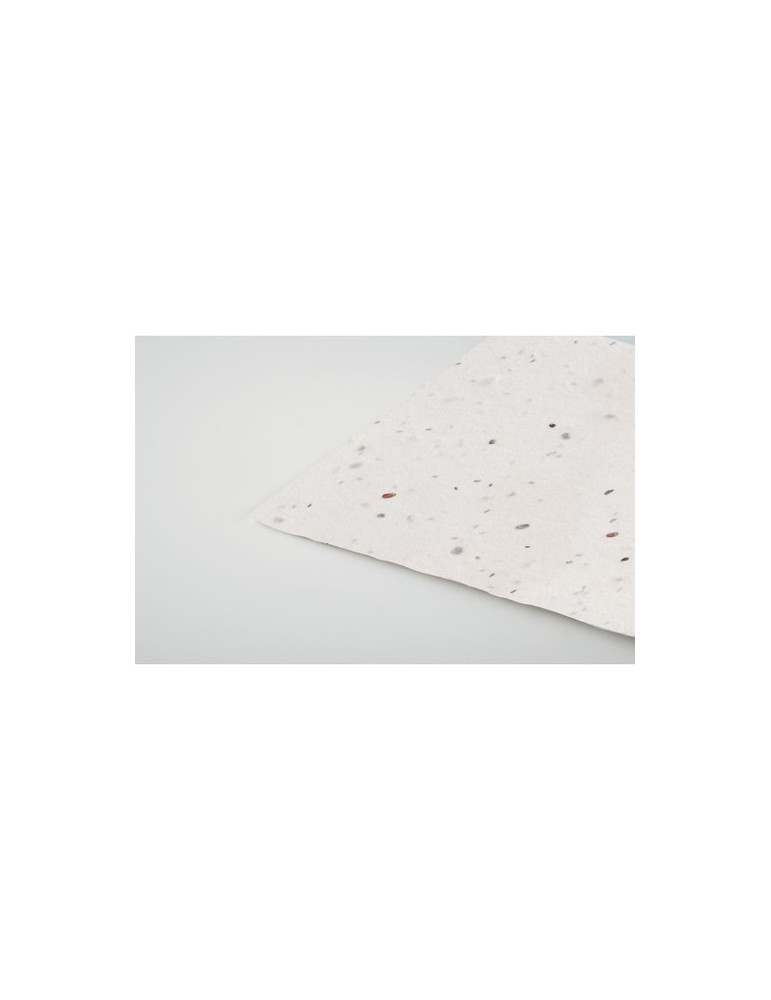 ASIDA Carte de visite pour les graine Couleurs : blanc cadeau entreprise pas cher