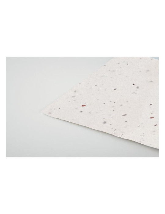 ASIDA Carte de visite pour les graine Couleurs : blanc cadeau entreprise pas cher