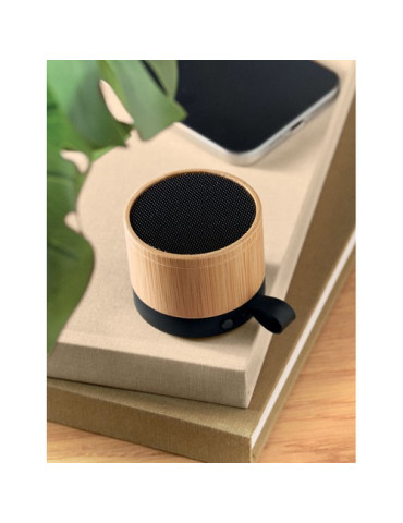 RECAR BAMBOO Haut-parleur 5.1 sans fil Couleurs : bois livraison express 24h 48h
