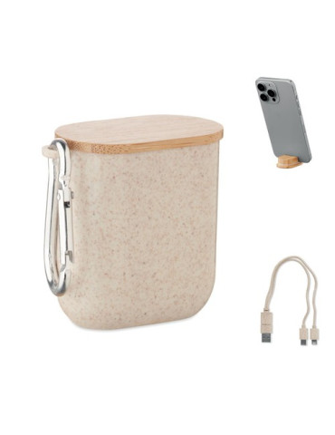 CABSTRA Set de câbles dans un boîtier Couleurs : beige