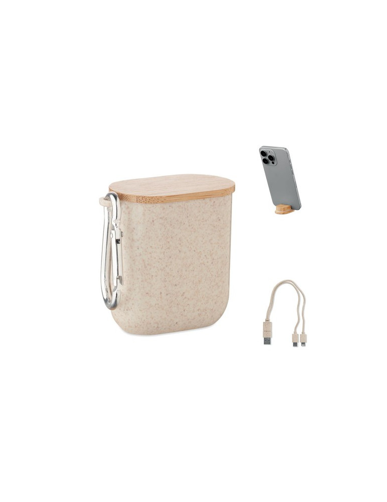 CABSTRA Set de câbles dans un boîtier Couleurs : beige