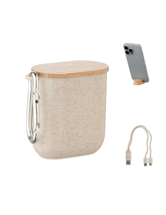 CABSTRA Set de câbles dans un boîtier Couleurs : beige