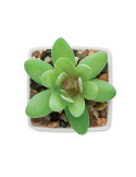 ARTIGRAP Mini plante artificielle Couleurs : blanc cadeau entreprise pas cher