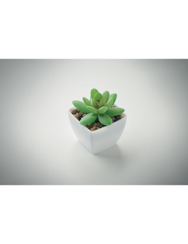 ARTIGRAP Mini plante artificielle Couleurs : blanc impression haute définition
