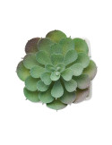ARTIECHE Mini plante artificielle Couleurs : blanc cadeau entreprise pas cher