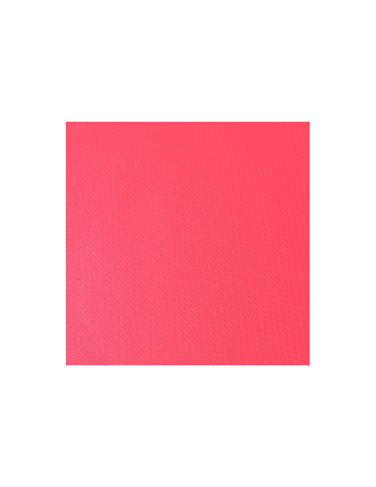 T-Shirt Femme Cocker