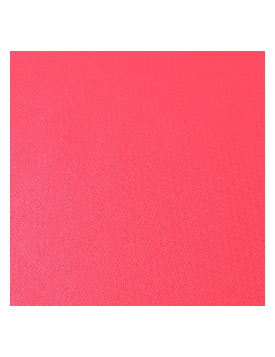 T-Shirt Femme Cocker