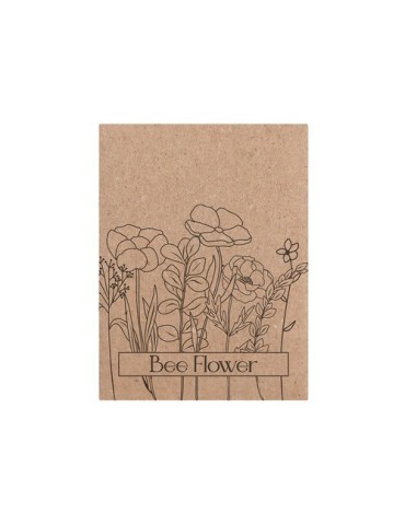 Sachet Graines Balvor Matières : carton Couleurs : naturel 2