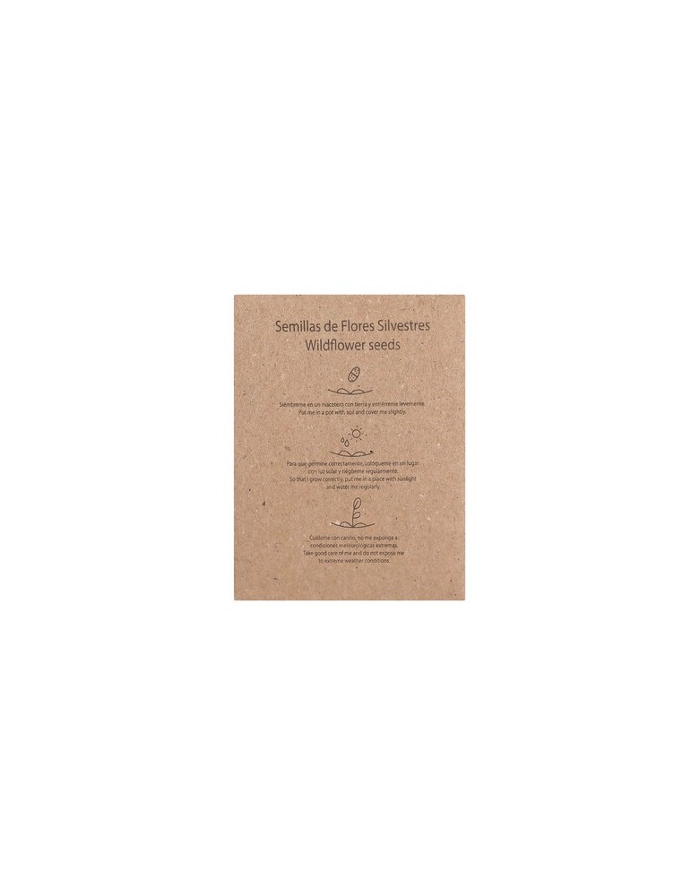 Sachet Graines Balvor Matières : carton Couleurs : naturel marquage laser ultra précis