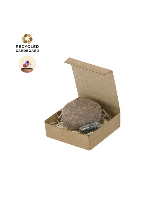 Pack Plantable Aquael Matières : carton recyclé Couleurs : naturel