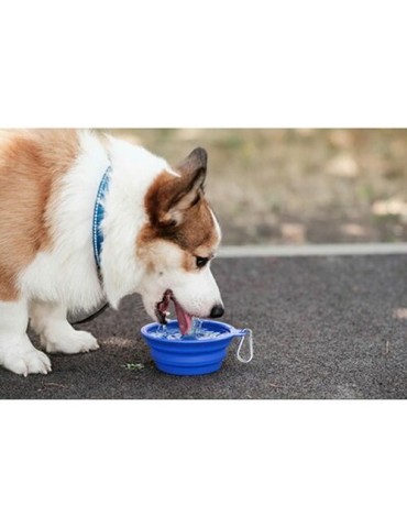 Gamelle pliable pour chien | Platora Couleurs : bleu Matières : TPR 2