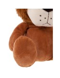 Lion | Richard K