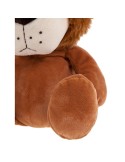 Lion | Richard K