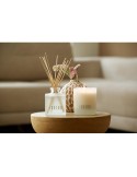 JANZEN Scented Candle Sage 36 bougie parfumée