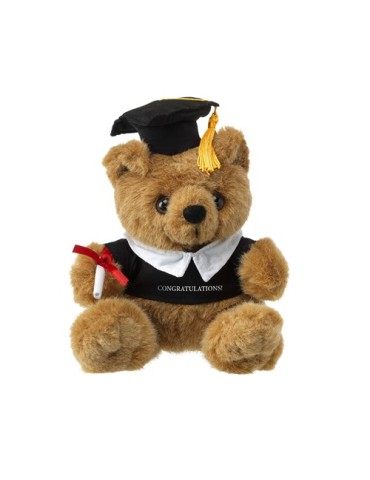Prof peluche 2