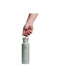 Hydro Flask Standard Mouth with Flex Straw Cap 621 ml bouteille d'eau