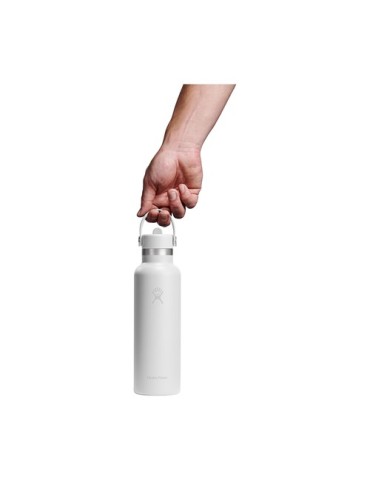 Hydro Flask Standard Mouth with Flex Straw Cap 621 ml bouteille d'eau