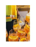 HappyGlass Lady Abigail Trans Verre à Vin Tritan 470 ml
