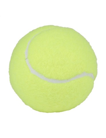 Ballons de Padel Pro 2