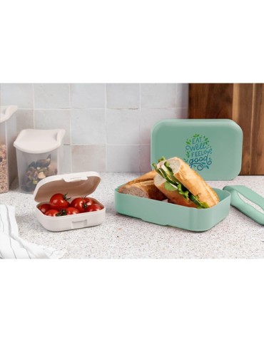 Amuse Classic Lunchbox Medium
