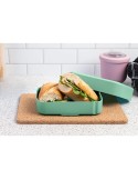 Amuse Classic Lunchbox Medium