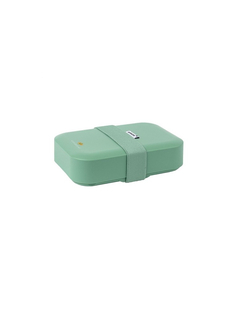 Amuse Classic Lunchbox Medium