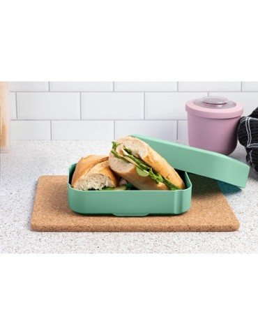 Amuse Classic Lunchbox Medium