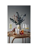 Ribbio Verre à Champagne 255 ml