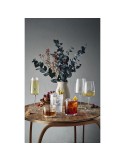 Ribbio Verre à vin 535 ml
