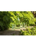 Sevilla Bouteille Recyclée 1,2 L