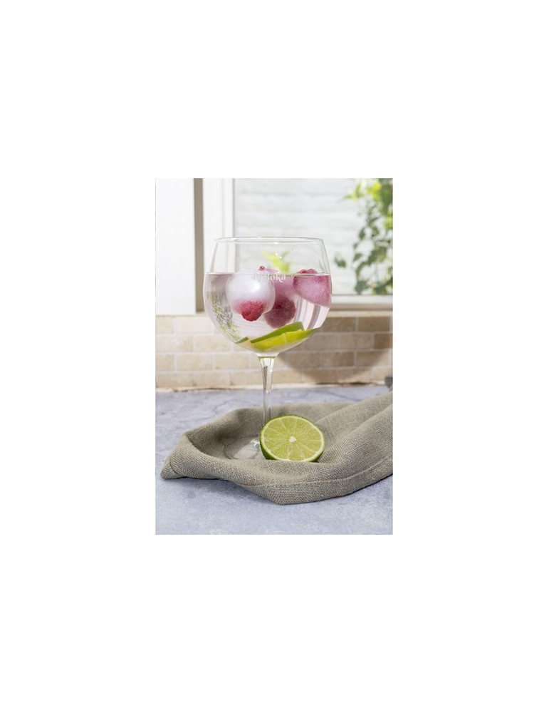 Verre à Cocktail Gin 700 ml