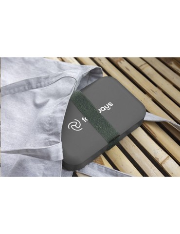 Amuse Recycled PP Lunch Box