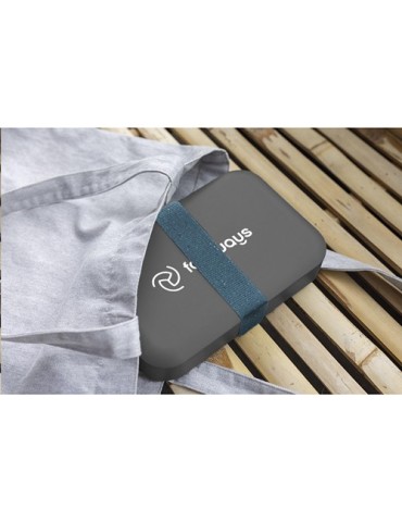 Amuse Recycled PP Lunch Box