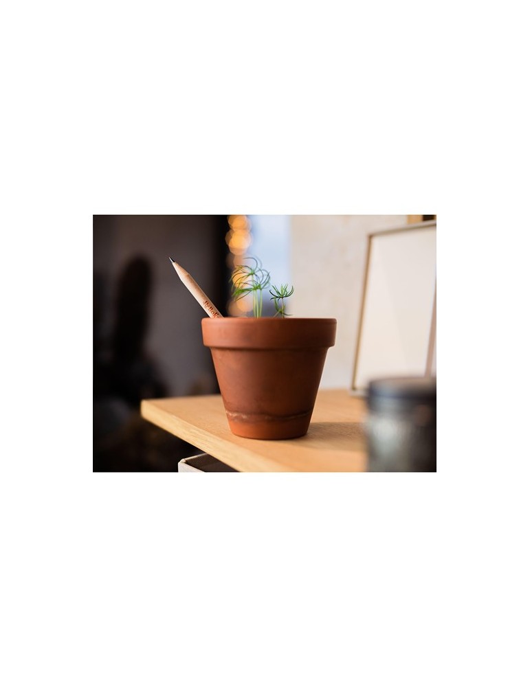Sproutworld Sharpened Pencil crayon taillé