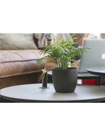 Coffee Flowerpot pot de fleurs