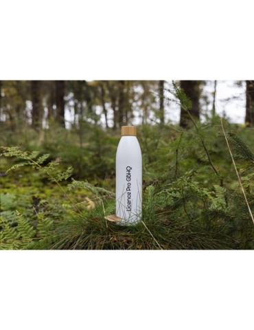 Natural Bottle Slim 500 ml bouteille