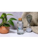 RPET Bottle Trans 500 ml bouteille