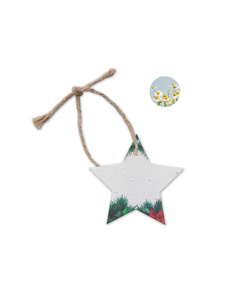 Décoration  personnalisée - Cadeau d'entreprise STARSEED