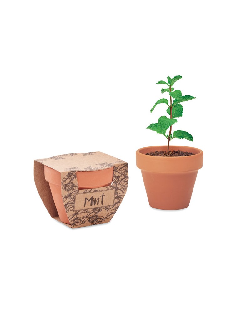 Pot à menthe  personnalisée pas cher - offrez de la fraîcheur