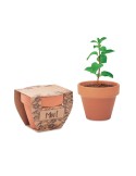 MINT POT