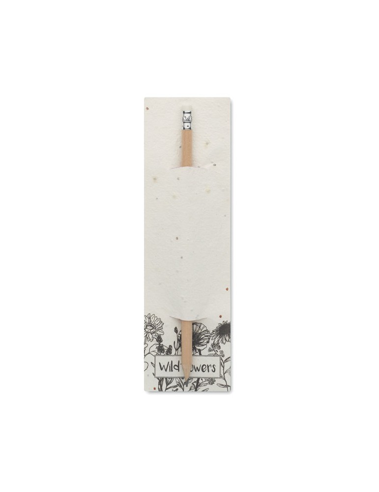 Crayon à Papier et Pratique - PENSEED