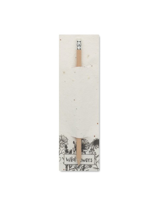 Crayon à Papier et Pratique - PENSEED