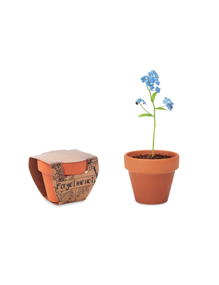 Pot myosotis  et personnalisé | Objets publicitaires