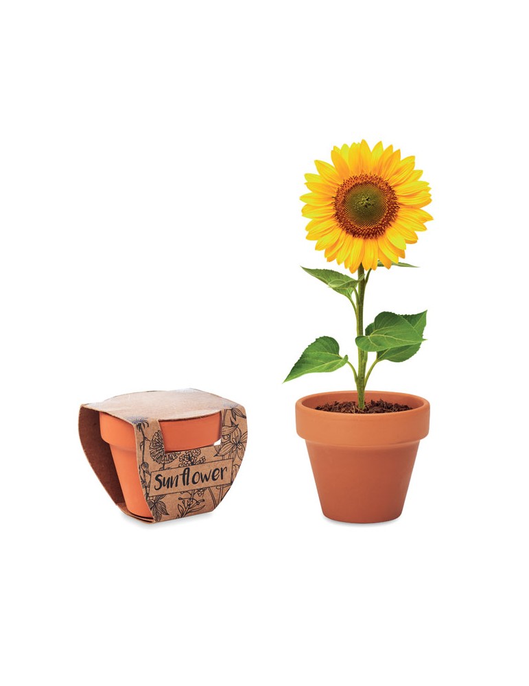 Pot graines de tournesol  et personnalisé | Cadeaux s