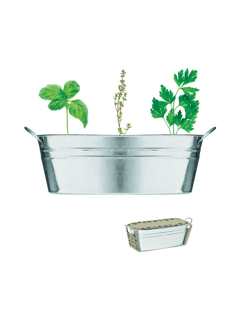 Bac en zinc avec herbes aromatiques - personnalisée pas cher