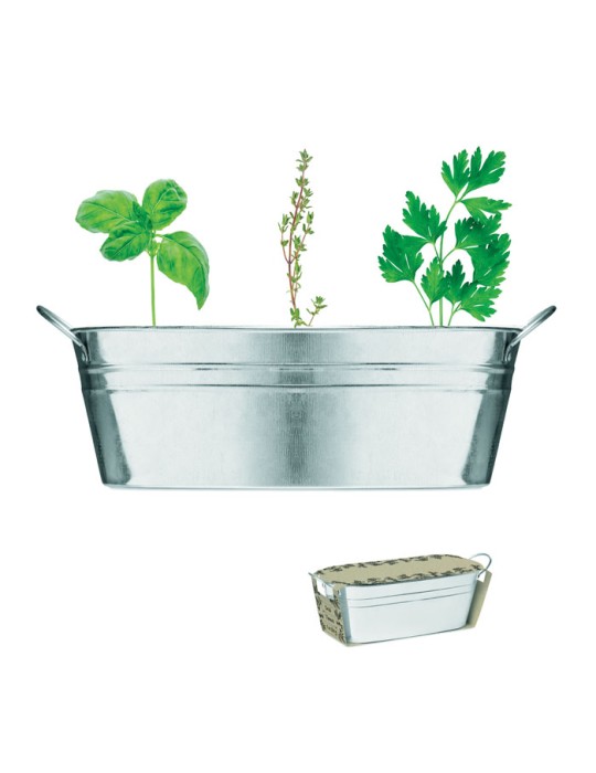 Bac en zinc avec herbes aromatiques - personnalisée pas cher