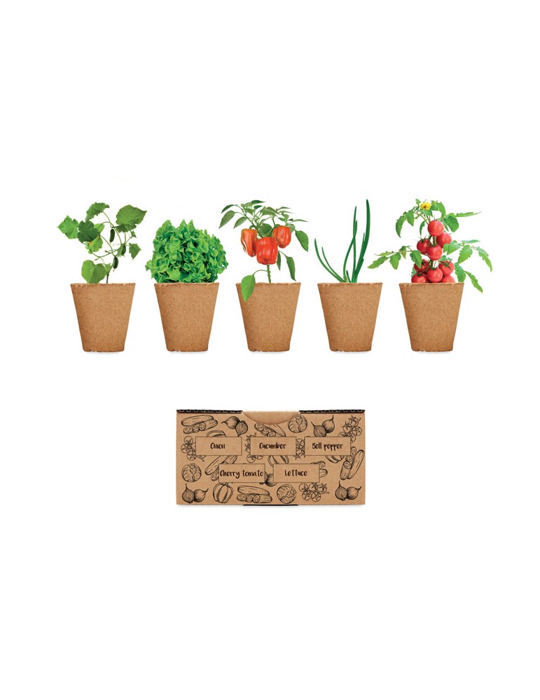 Kit de culture de salade personnalisé pas cher - Graines & terreau inclus