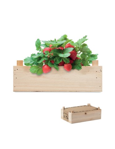 STRAWBERRY